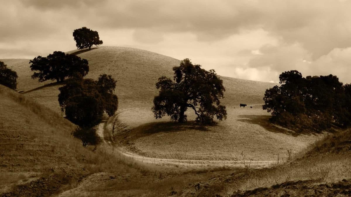 Digital Divide: Internet Access Remains a Luxury for Most Ugandans