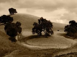 Digital Divide: Internet Access Remains a Luxury for Most Ugandans