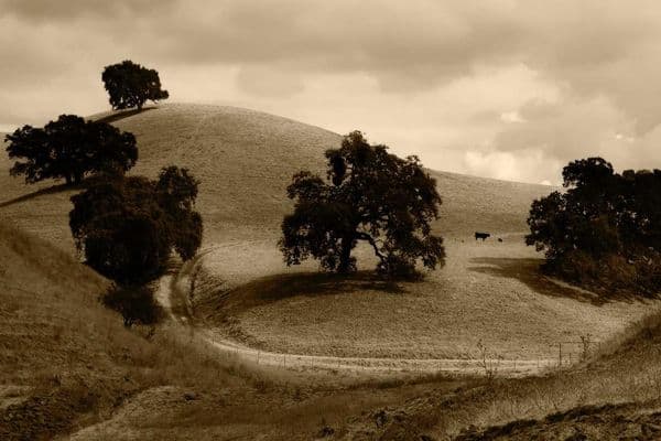 Digital Divide: Internet Access Remains a Luxury for Most Ugandans