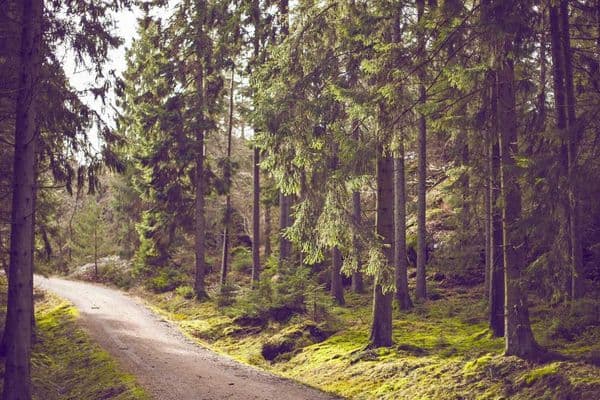 Exploring the Source of the Nile: Jinja Reinvents Itself