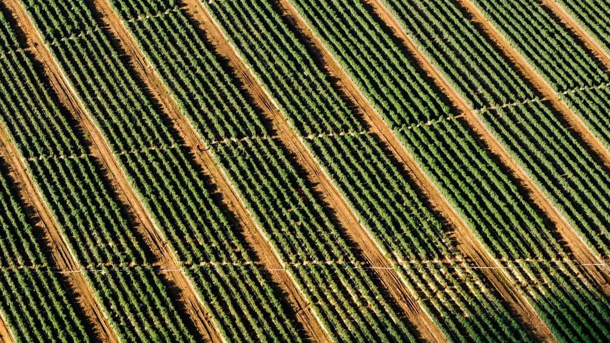 The Forgotten Roads: How Poor Infrastructure Holds Back Farmers