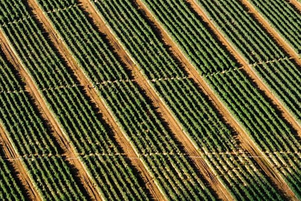 The Forgotten Roads: How Poor Infrastructure Holds Back Farmers