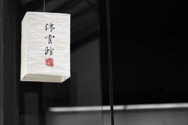 Inside Bwindi: Tracking Mountain Gorillas at Dawn