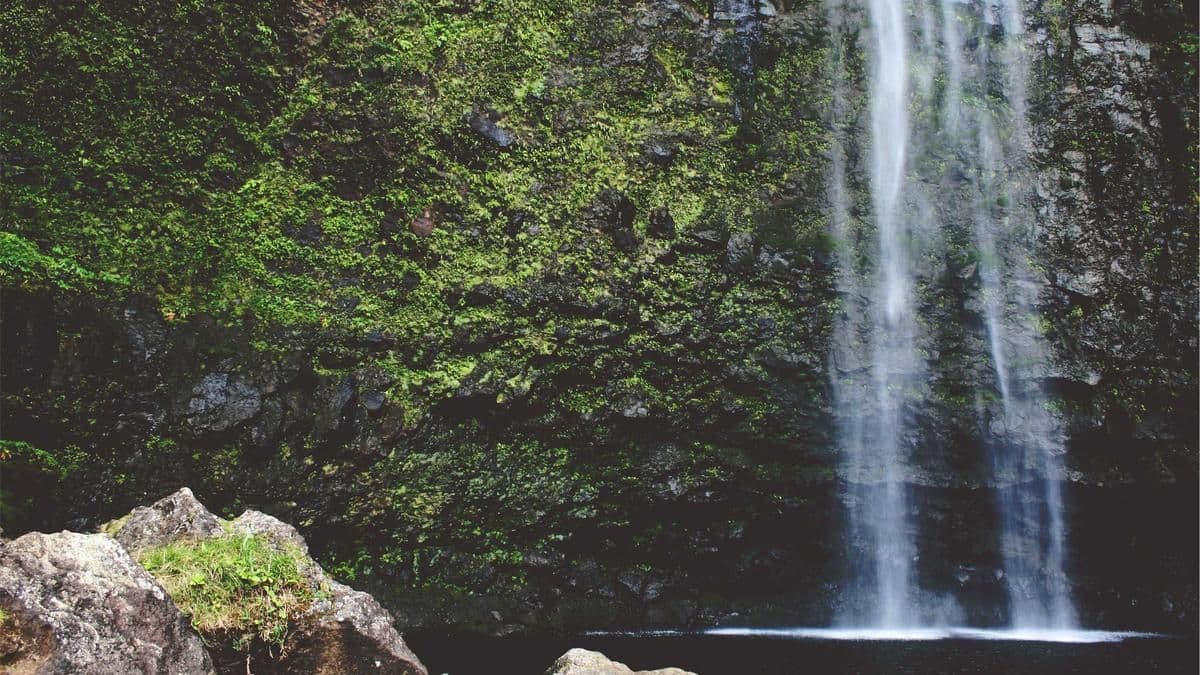 Inside the Push to Revive Uganda's Railway System