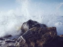 Parliament Must Resist the Urge to Silence Dissent