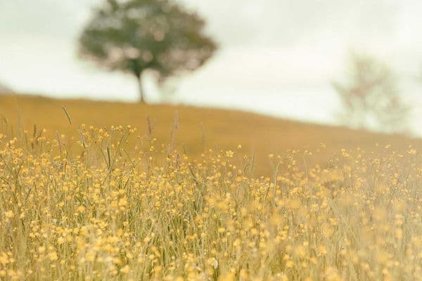 Sipi Falls: The Hidden Gem of Eastern Uganda