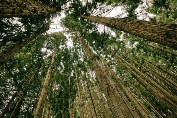 She Leads: Women Driving Innovation in Ugandan Tech