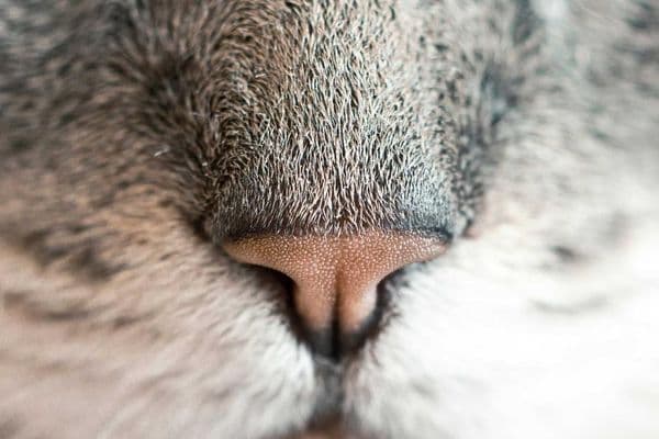 Youth Unemployment: The Time Bomb No One Wants to Defuse